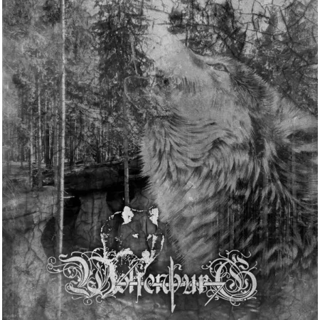 Wolfenburg- Wolfenburg
